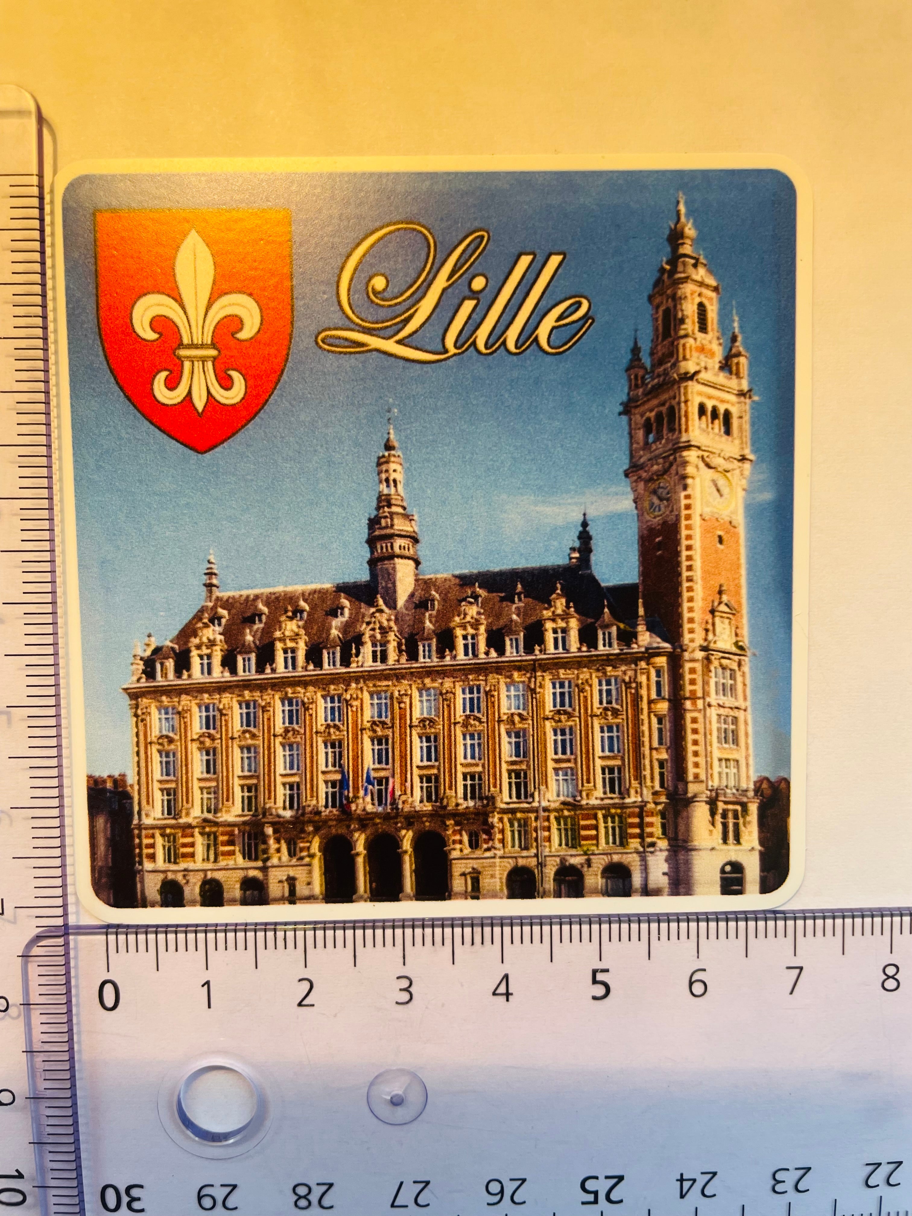 Lille France Souvenir Kühlschrankmagnet